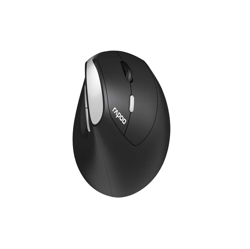 ماوس بی سیم رپو مدل Rapoo Ergonomic Optical Mouse EV250