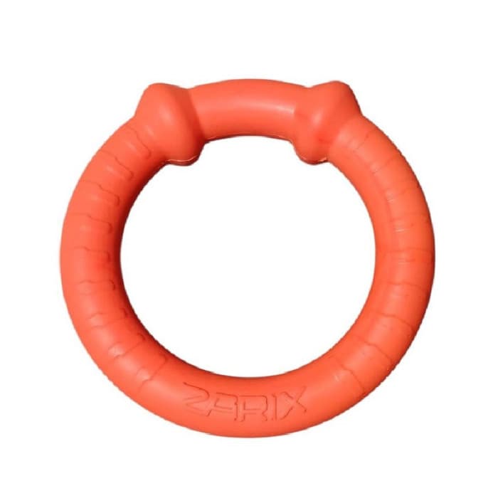 اسباب بازی سگ حلقه فومی نارنجی