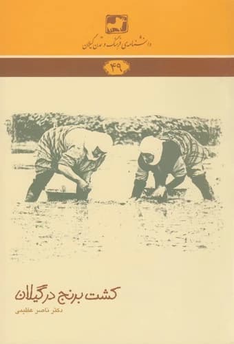 کتاب دانشنامه ی فرهنگ و تمدن گیلان 49- کشت برنج در گیلان نشر فرهنگ ایلیا