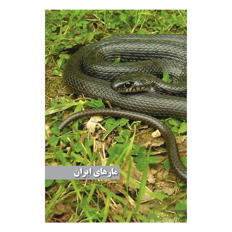 کتاب مارهای ایران اثر مهدی رجبی زاده انتشارات ایرانشناسی