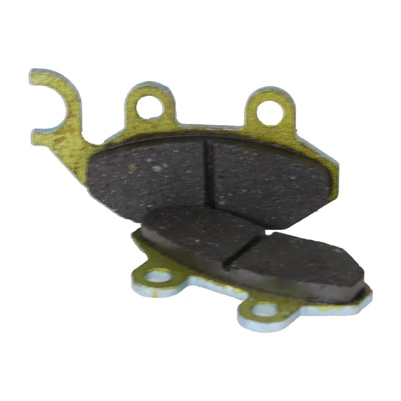 لنت دو پیچ نزدیک شاخکدار کوچک آیسوتک