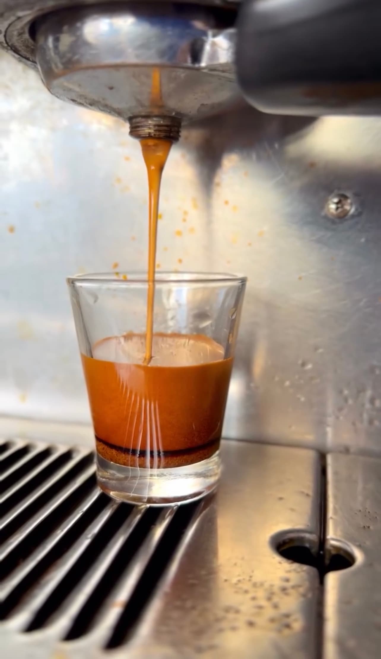 قهوه روبوستا اوگاندا