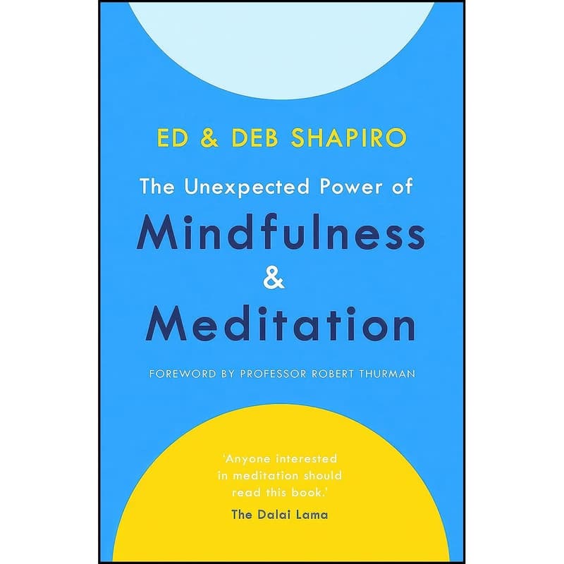 کتاب The Unexpected Power of Mindfulness and Meditation اثر Ed Shapiro and Deb Shapiro انتشارات Yellow Kite