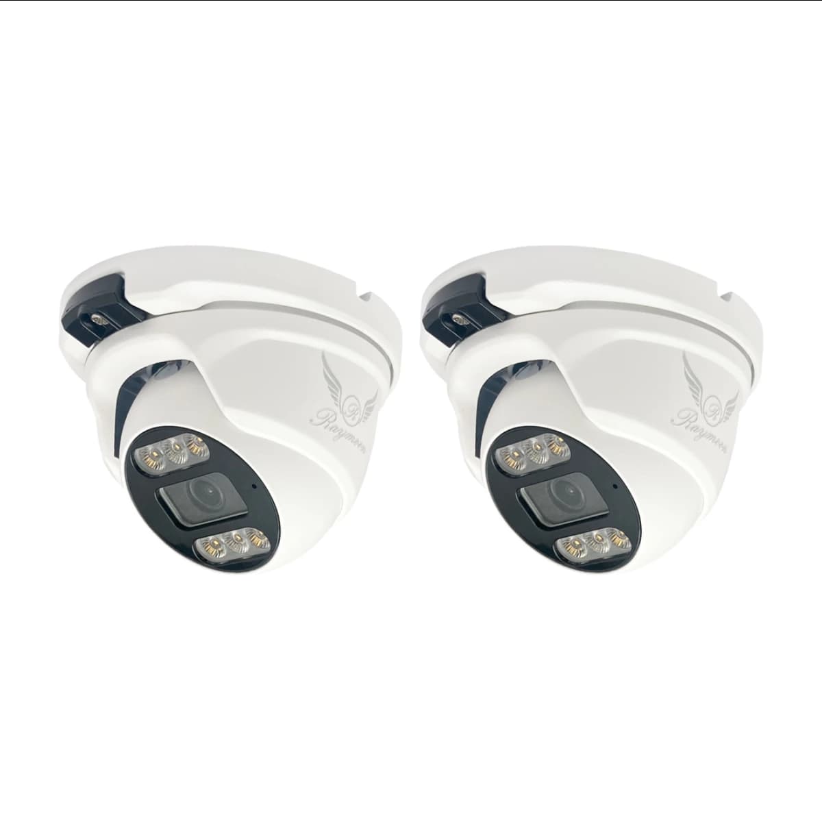 دوربین مداربسته تحت شبکه رایمون مدل H52 بسته دو عددی 5 مگاپیکسل