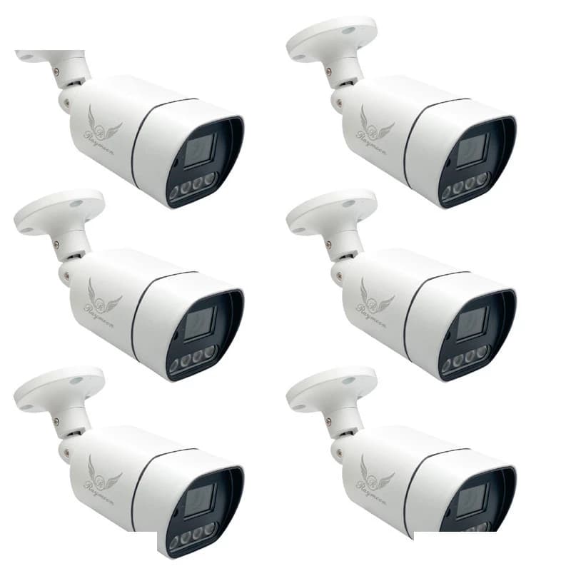 دوربین مداربسته تحت شبکه رایمون مدل پنج مگاپیکسل کد POE-60Q بسته شش عددی