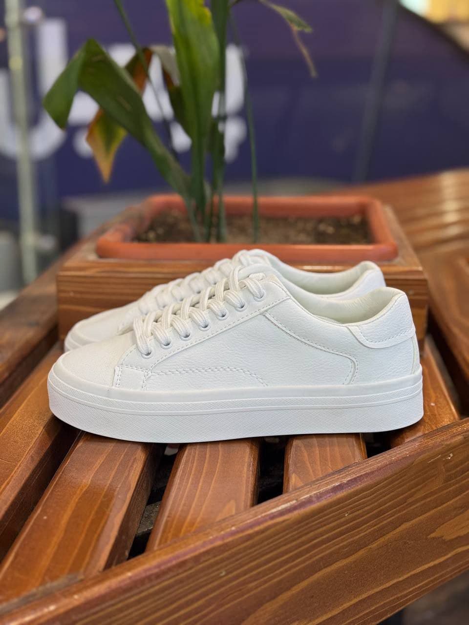 ونس بیسیک زارا