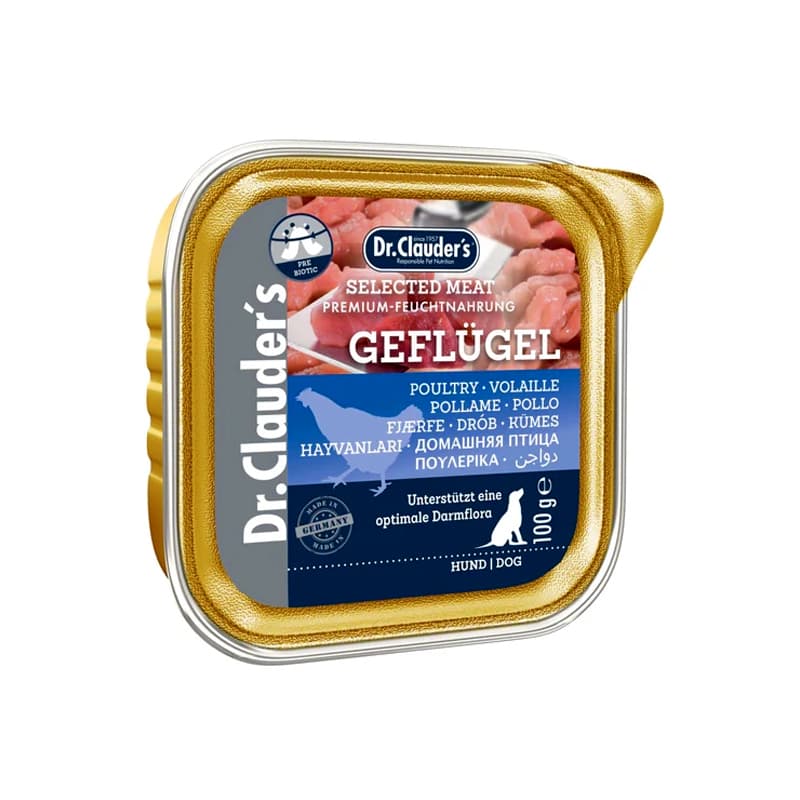 ووم سگ بالغ دکتر کلادرز با طعم مرغ مدل پته وزن ۱۰۰ گرم