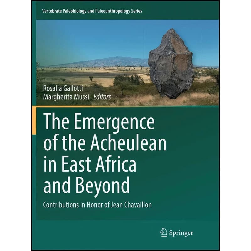 کتاب The Emergence of the Acheulean in East Africa and Beyond اثر جمعي از نويسندگان انتشارات Springer