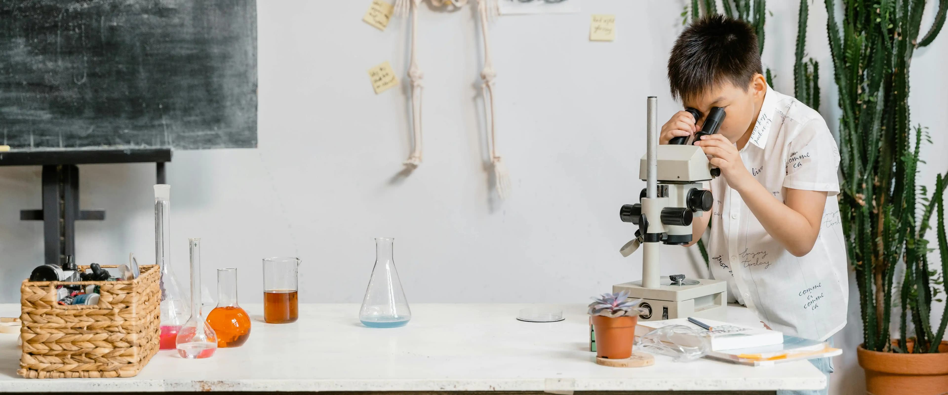 بنر فروشگاه آموزشگاه مراقبت زیبائی سلماز