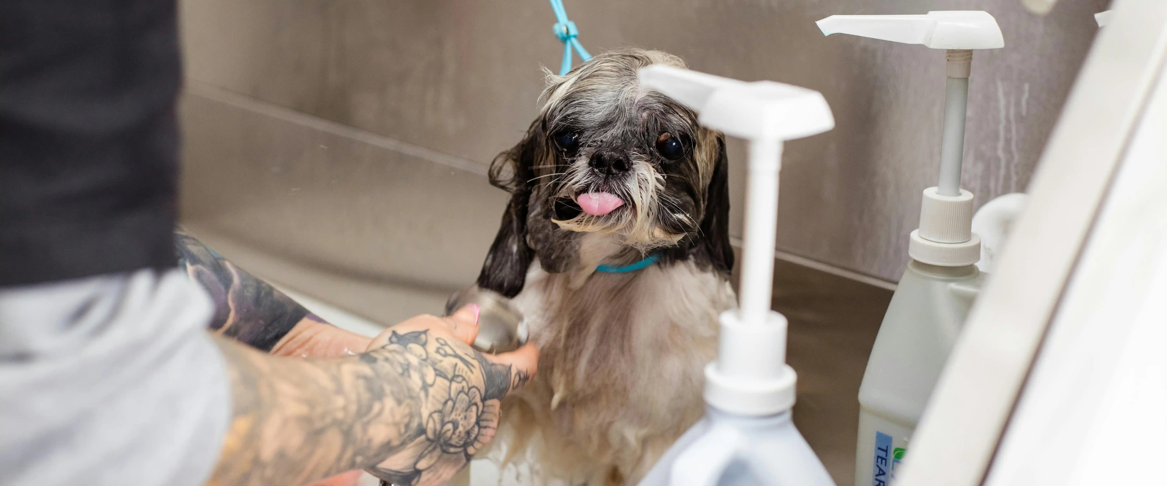 بنر فروشگاه لونا پت