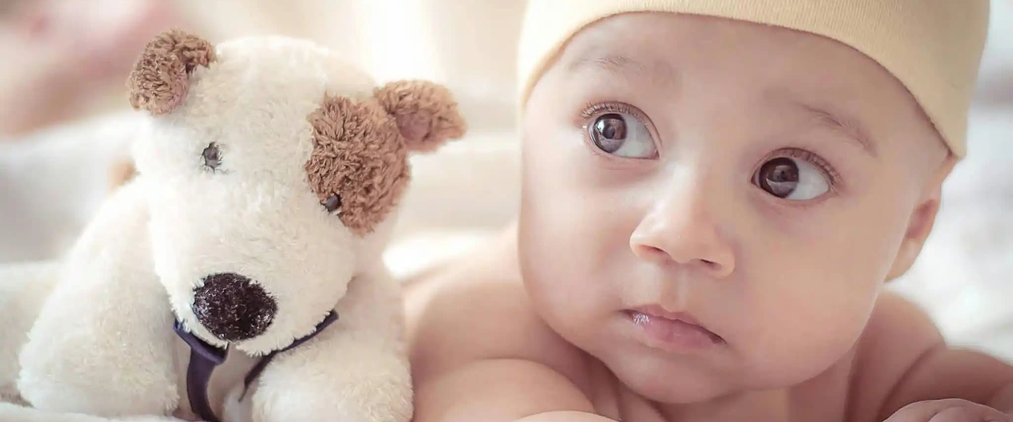 بنر فروشگاه سیسمونی تقی زاده