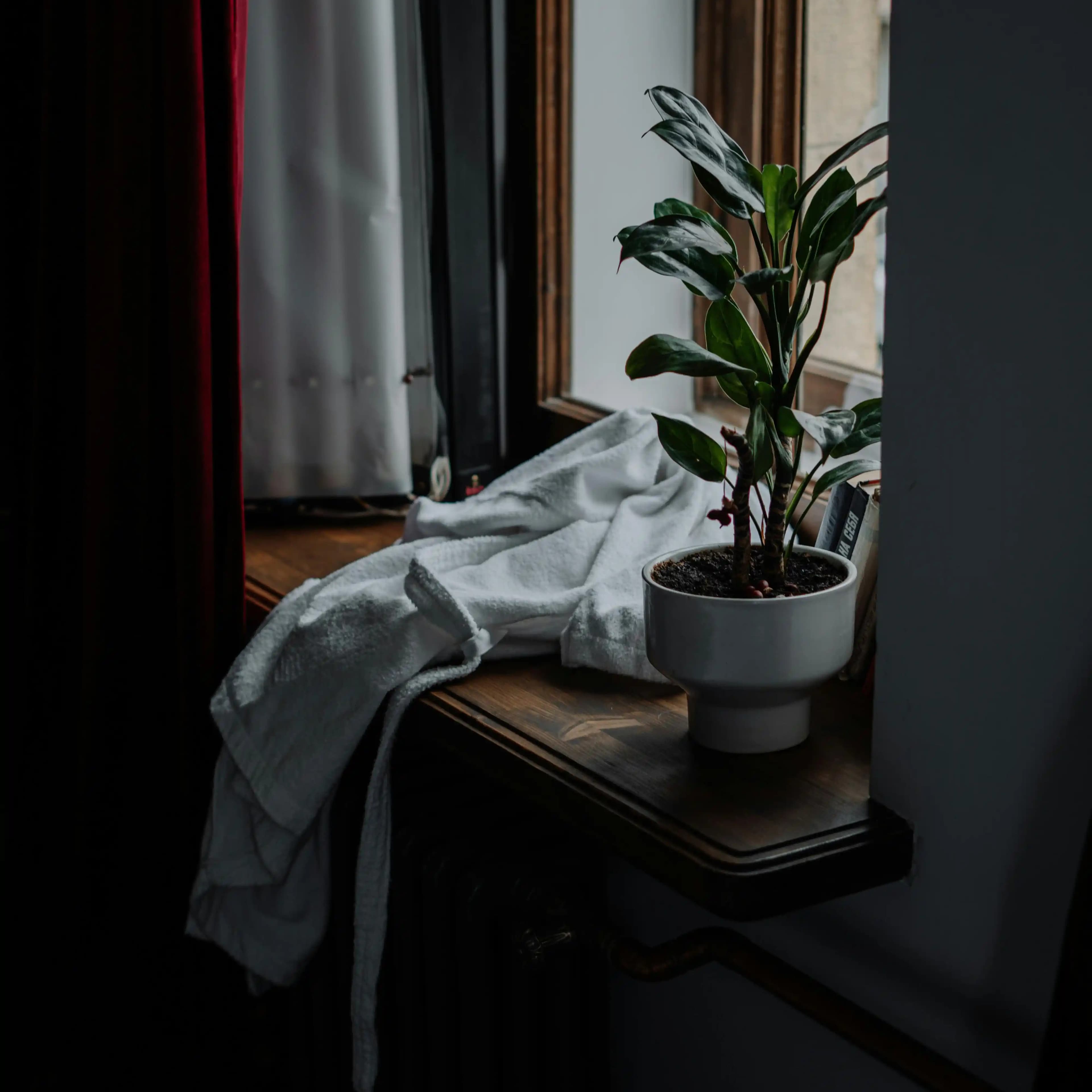 لوگوی فروشگاه پوشاک گوزل