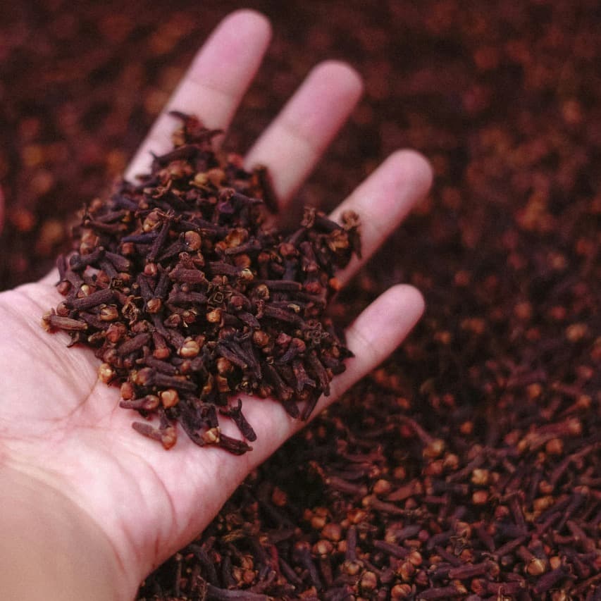 لوگوی فروشگاه عطاری سیدحامد