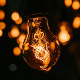 پخش کالای برق عرفانیان