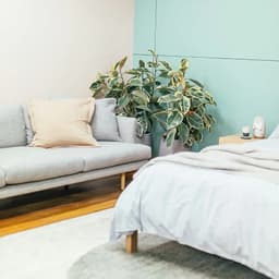 گالری مبل پاریس