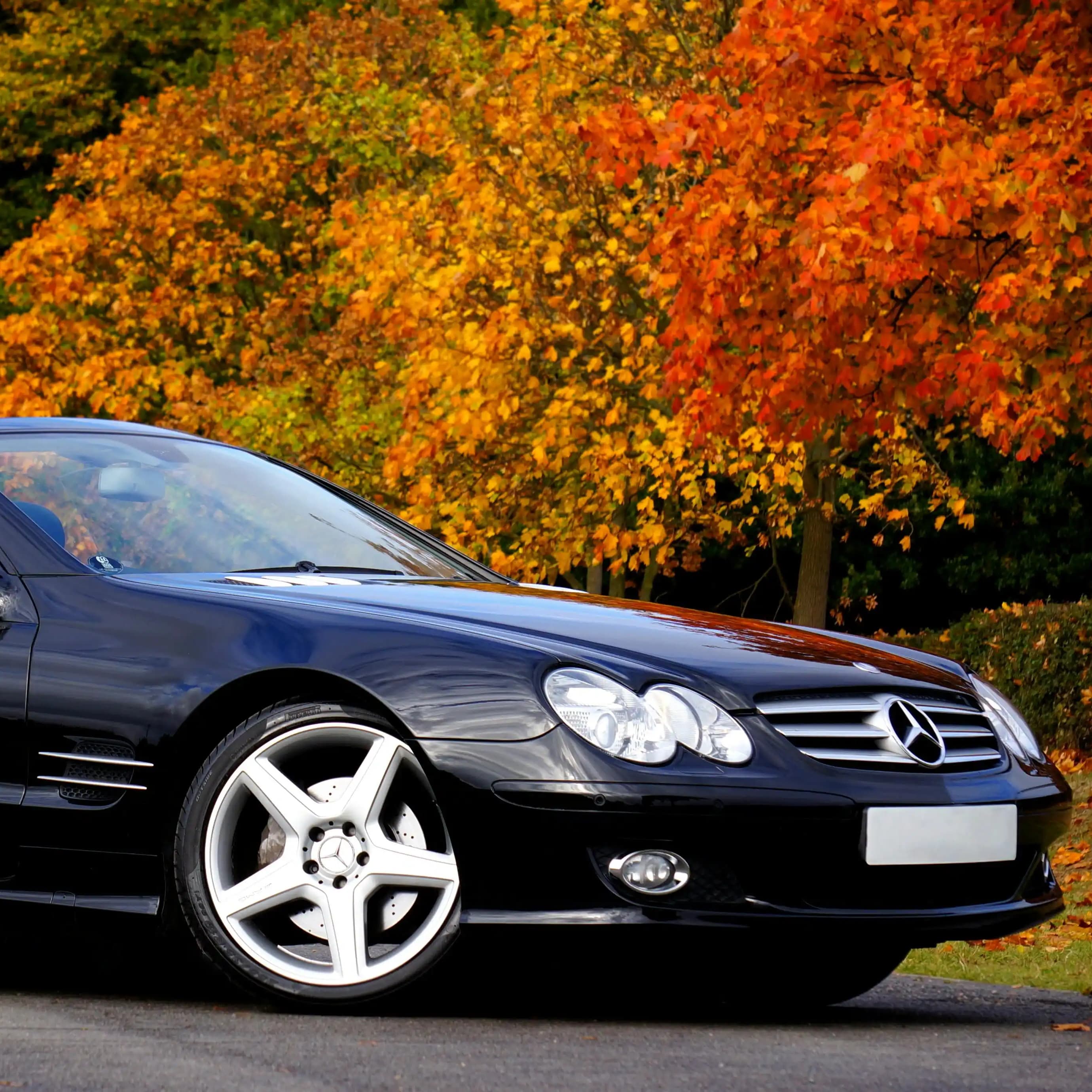 لوگوی فروشگاه فروشگاه ایساکو صدیقی