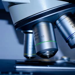 دکتر سولماز محمدی