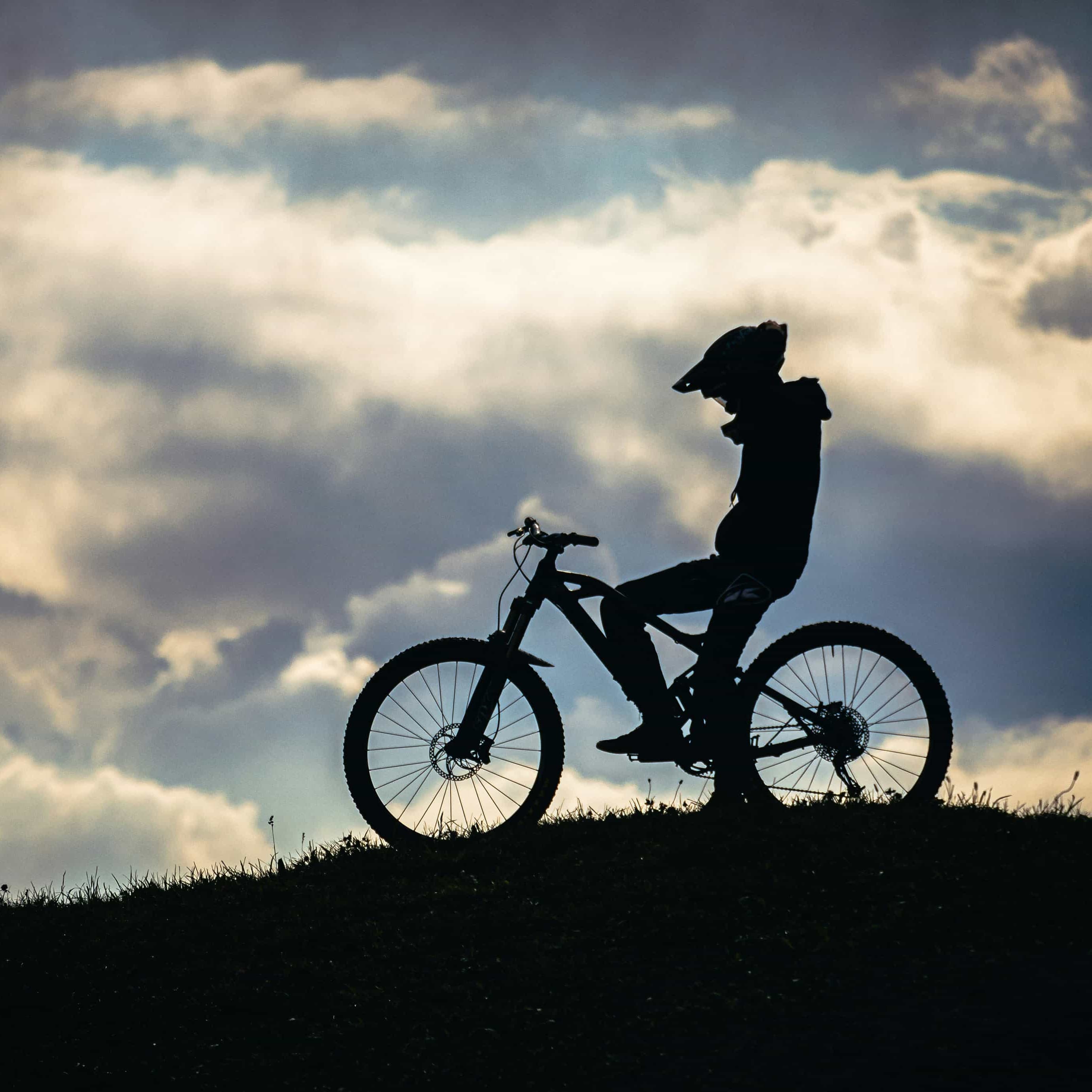 لوگوی فروشگاه فروشگاه لوازم شکار آلبوشوکه