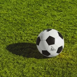 فروشگاه مدرن اسپرت