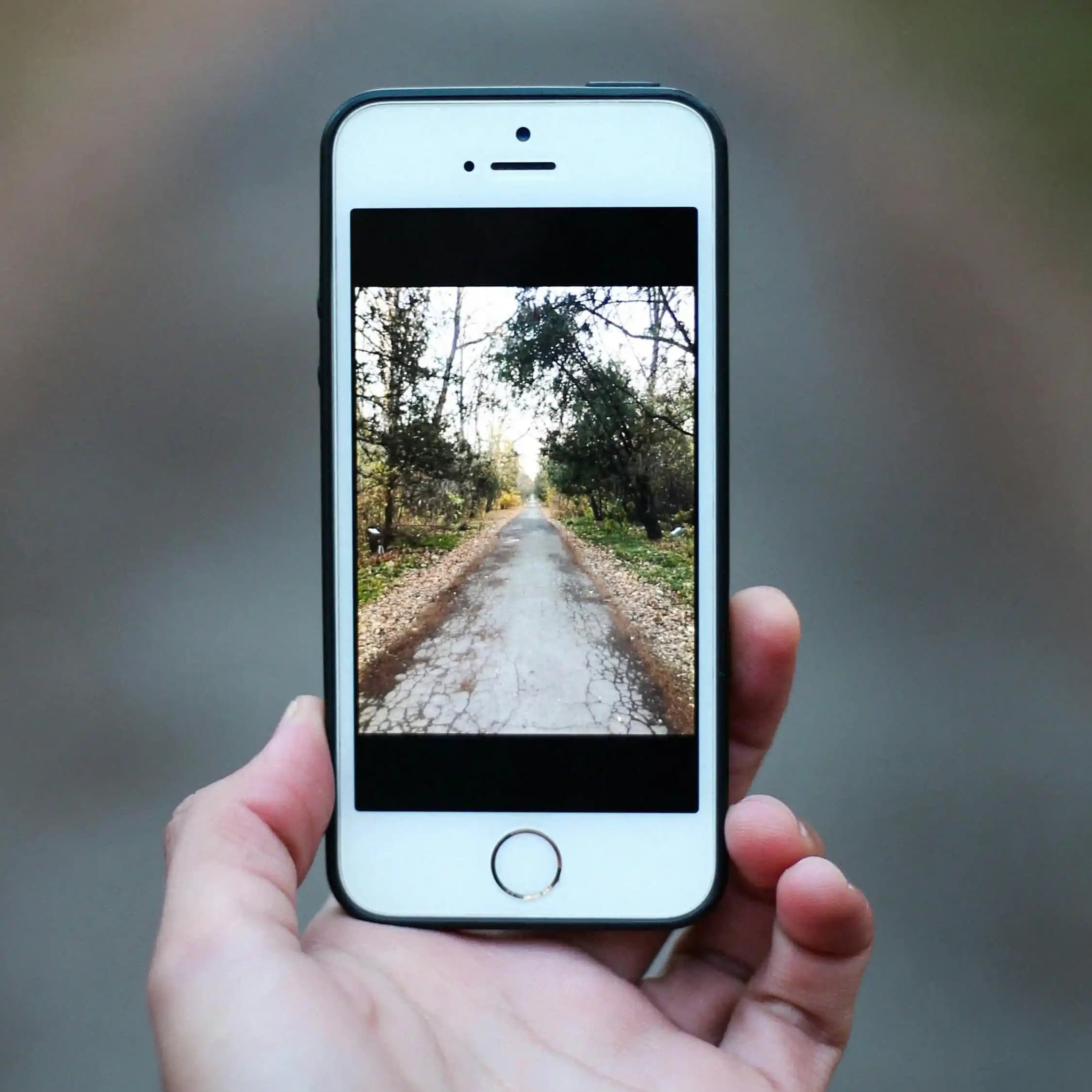 لوگو فروشگاه