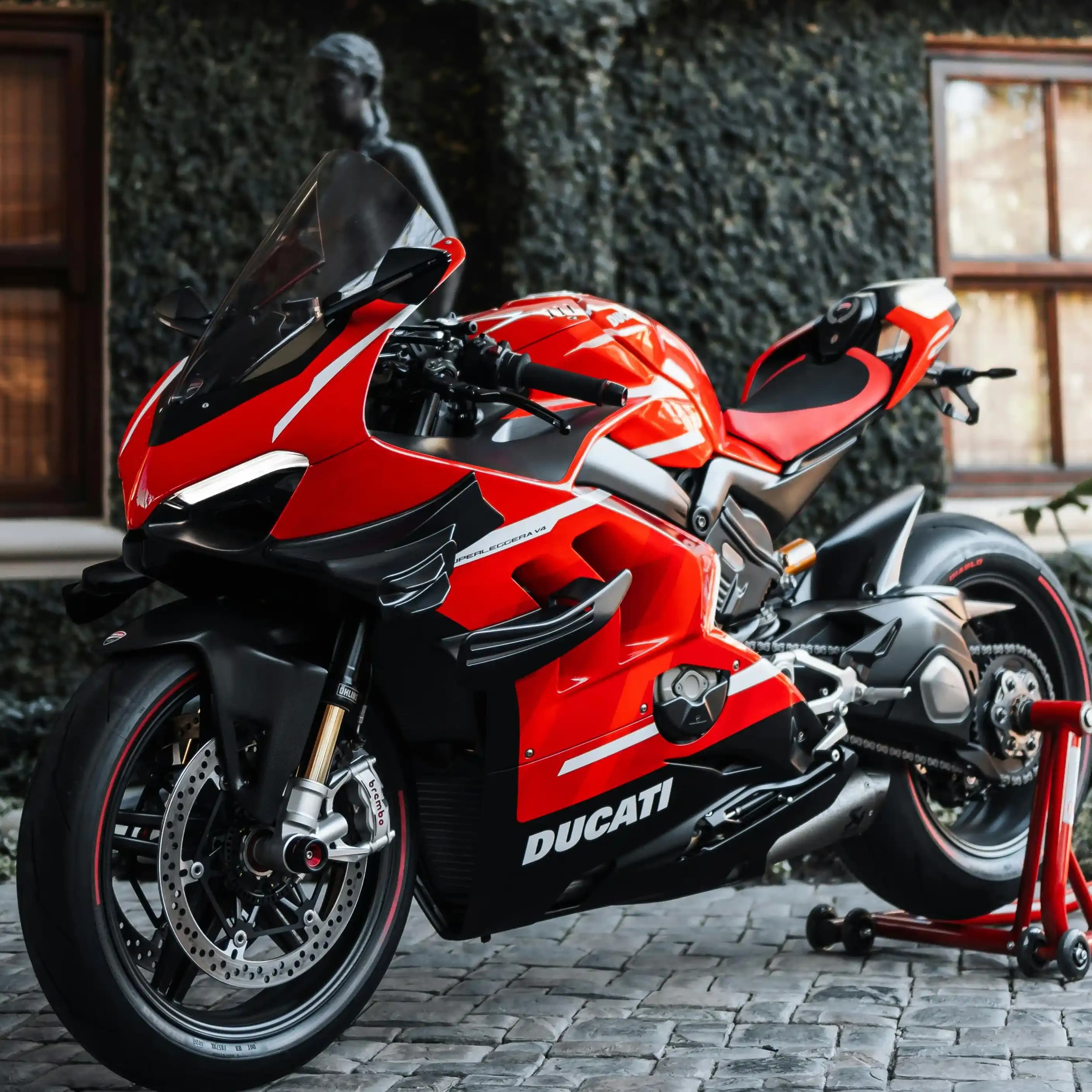 لوگوی فروشگاه فروشگاه دوچرخه گروه فستوس