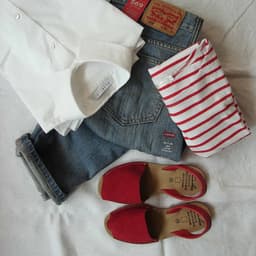 پوشاک بانوان ترمه