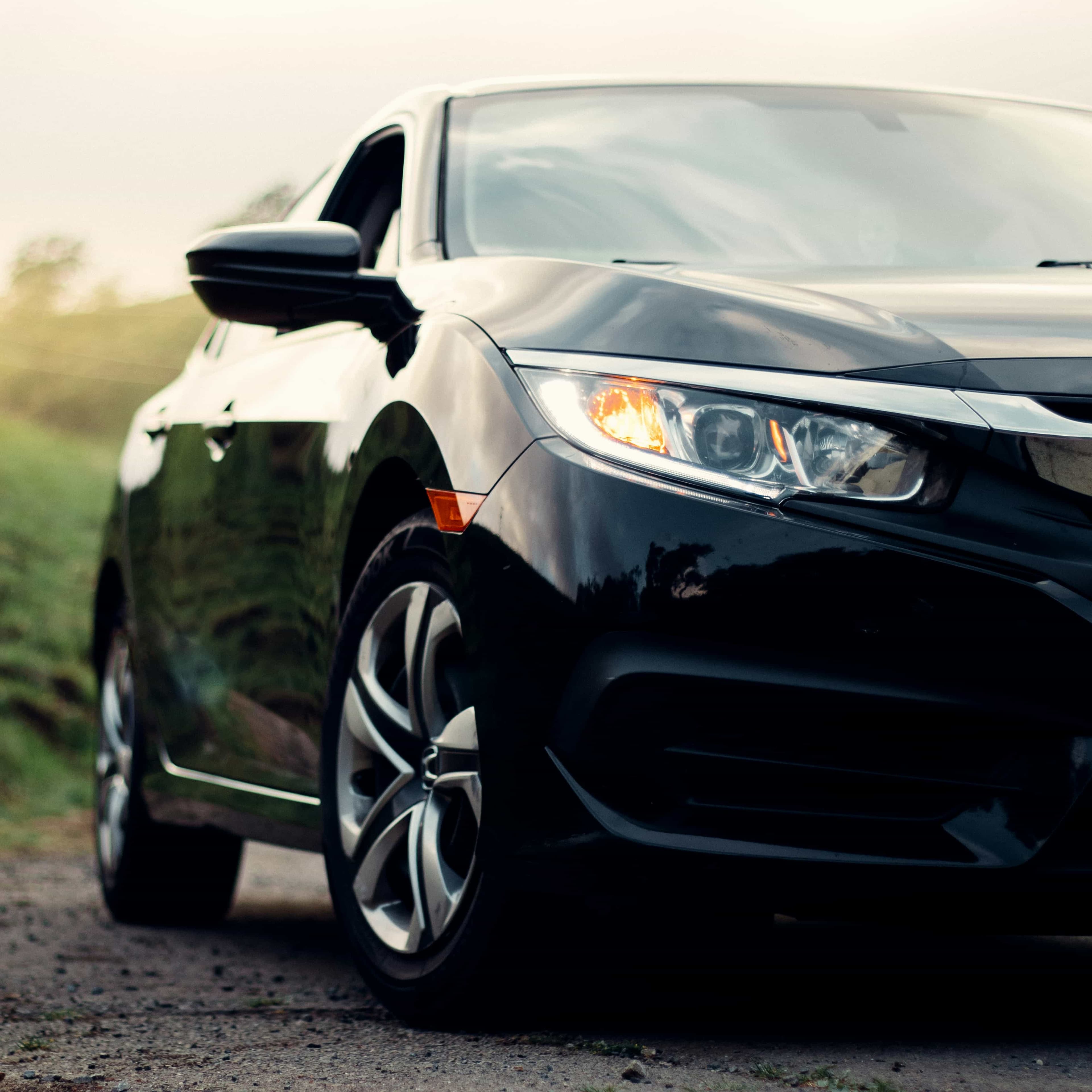 لوگوی فروشگاه اتو گالری محمدزاده