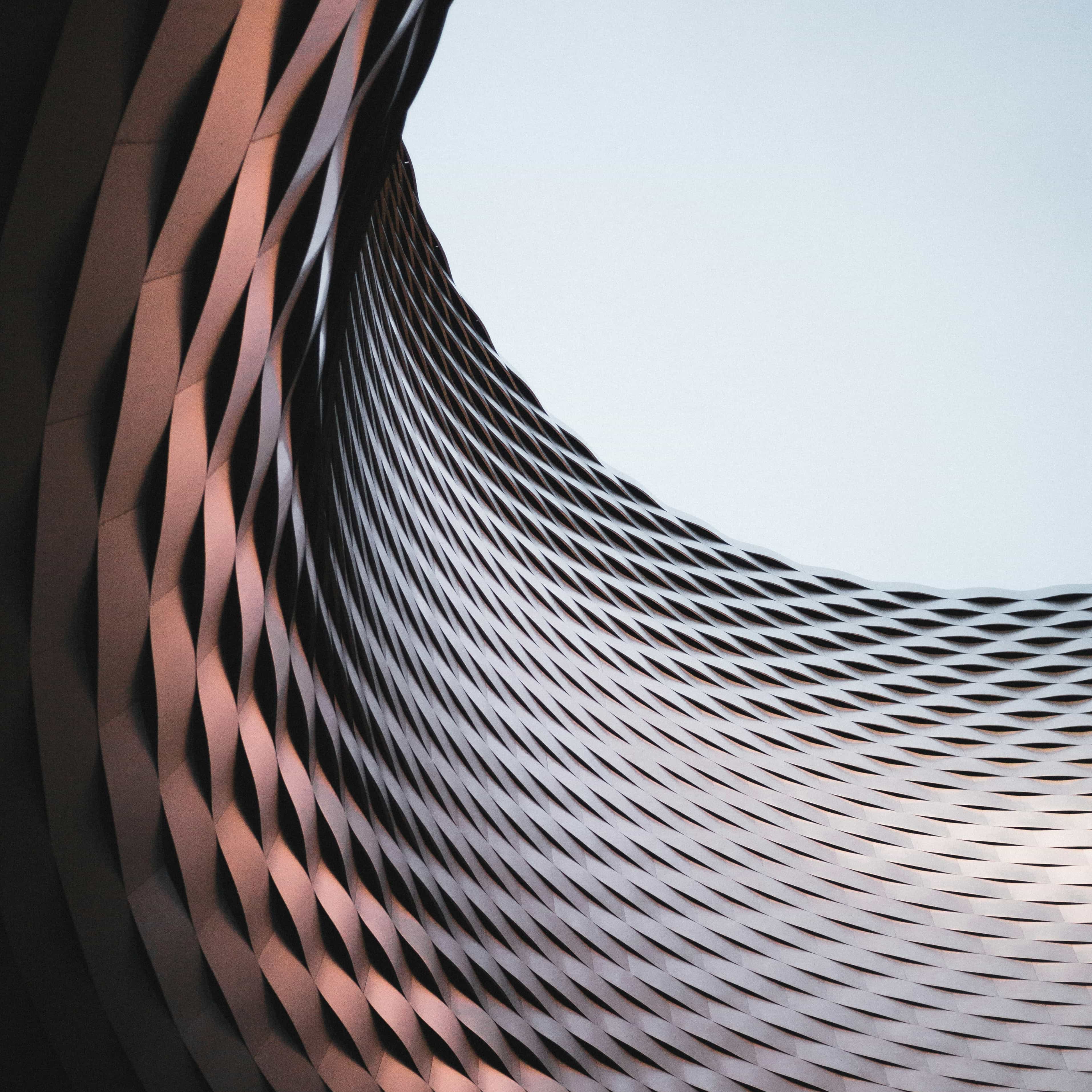 لوگوی فروشگاه طراحان نیک نگار