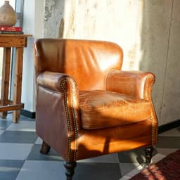 مبلمان اوگور