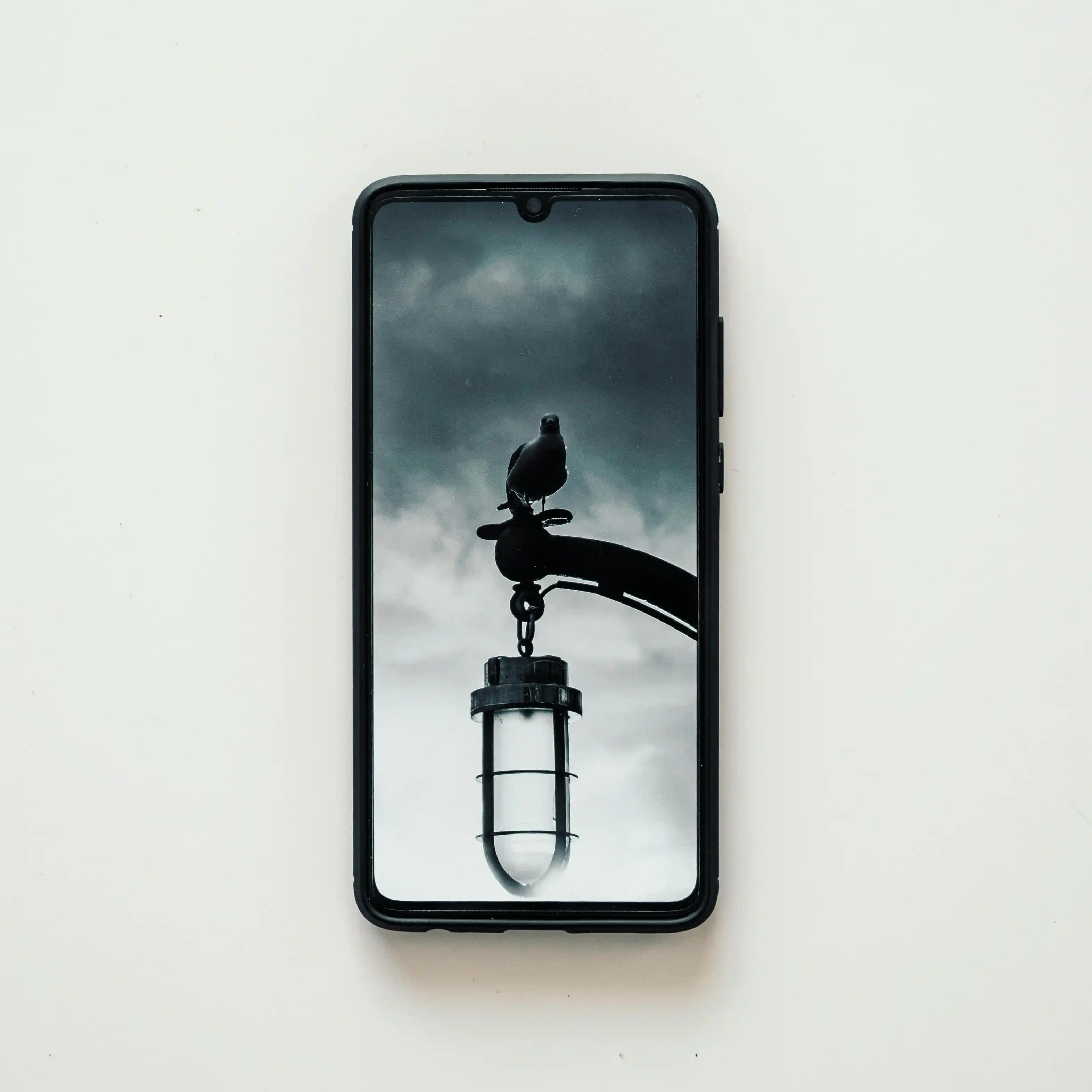 لوگو فروشگاه