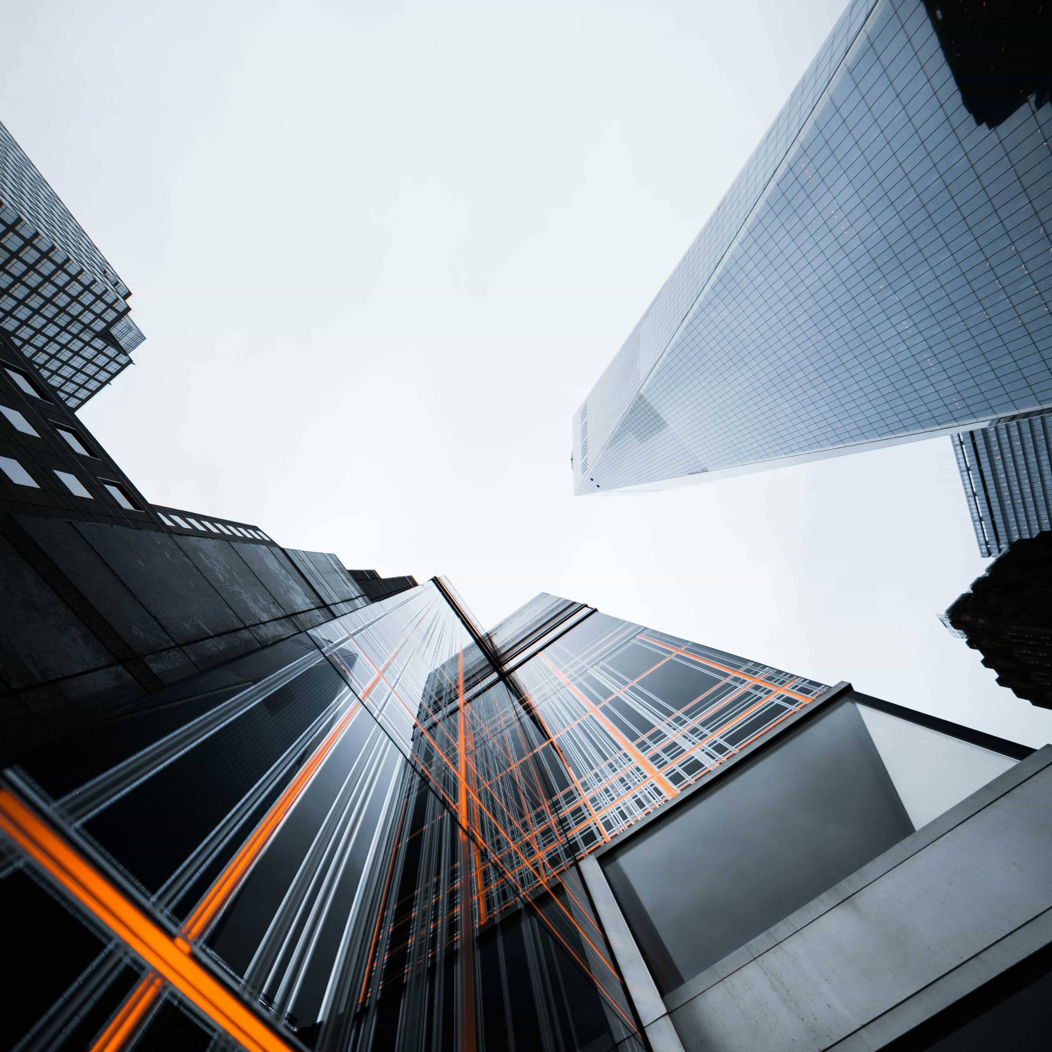 لوگوی فروشگاه دیزاین برتر