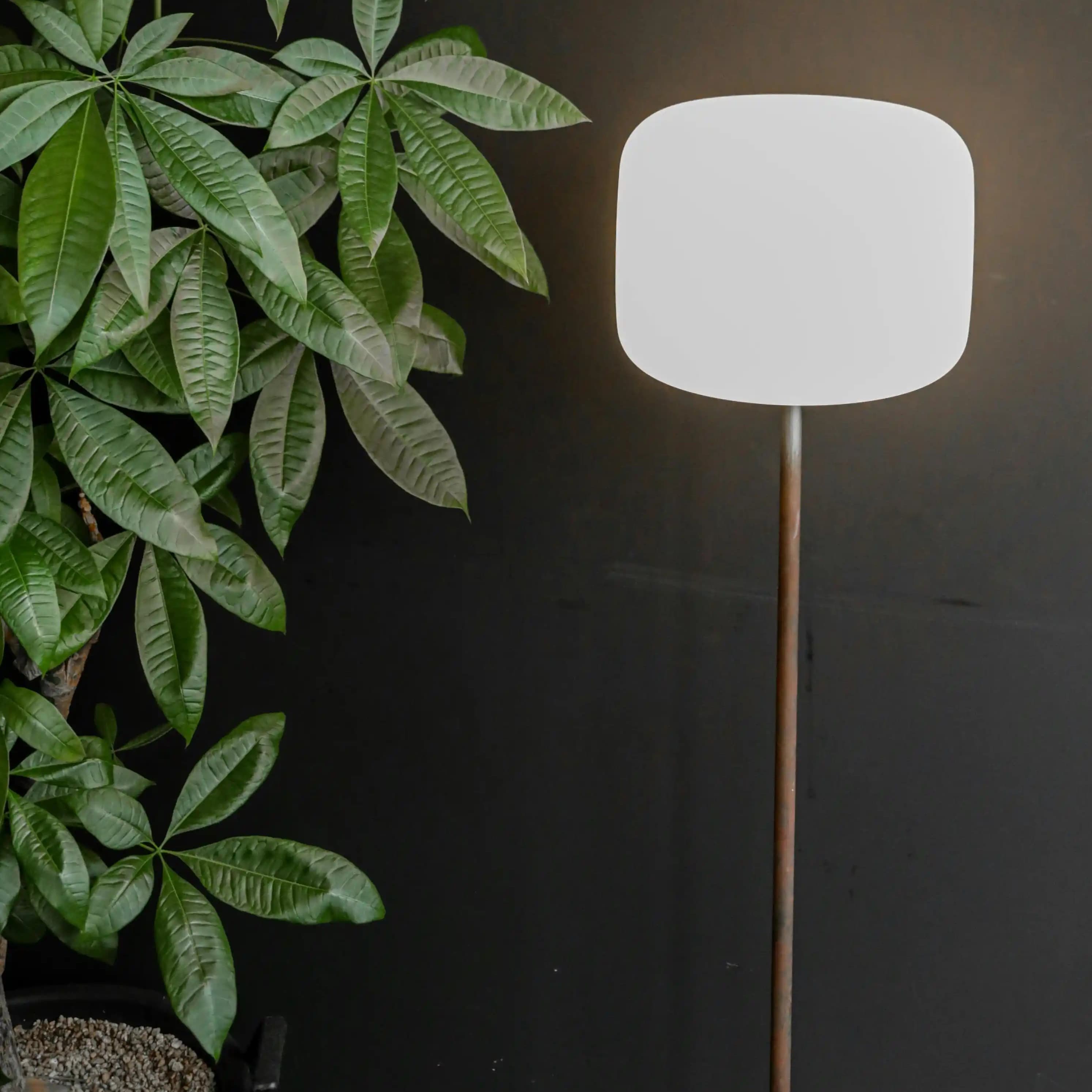 لوگوی فروشگاه پخش پارسه