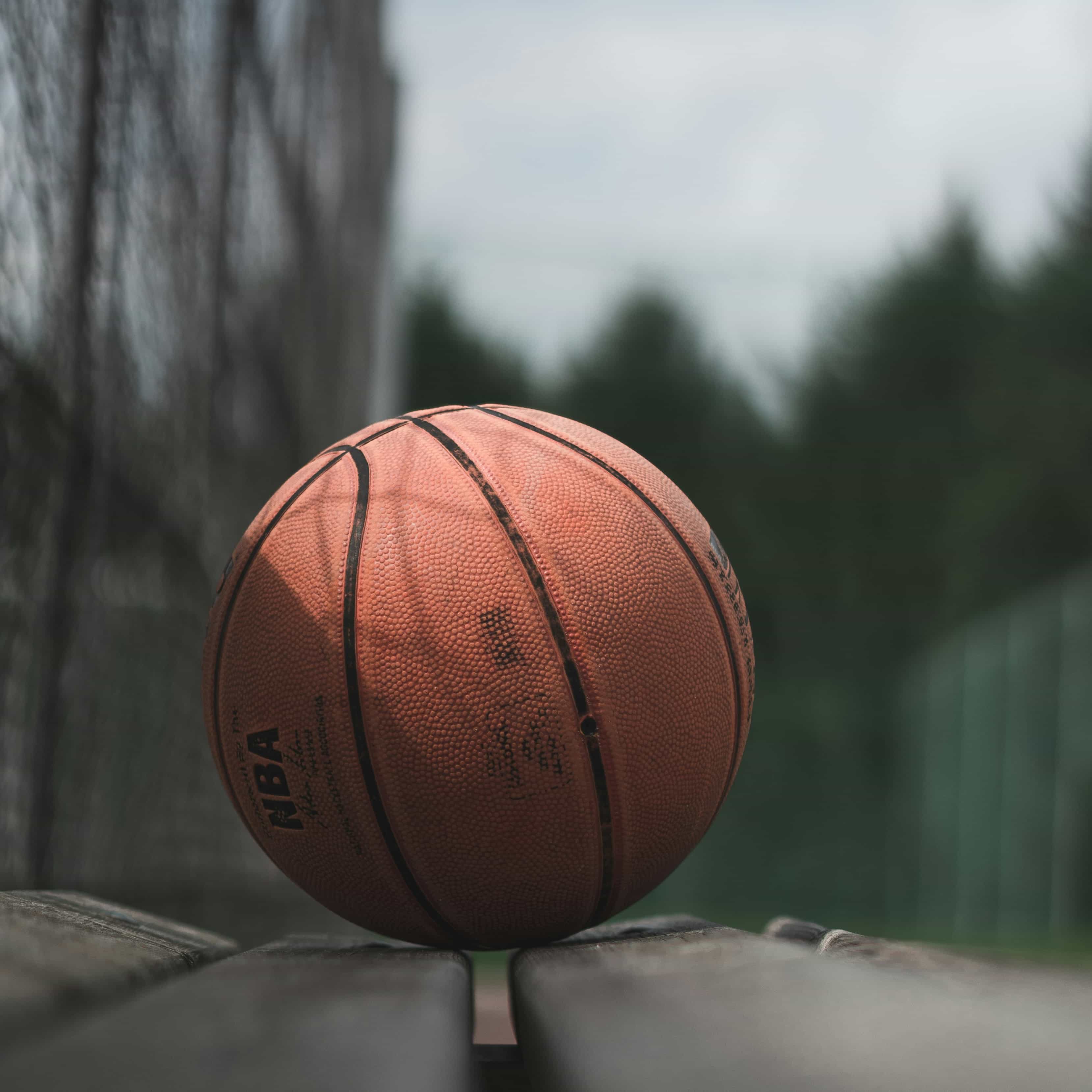 لوگوی فروشگاه فروشگاه بازرگانی آرامش