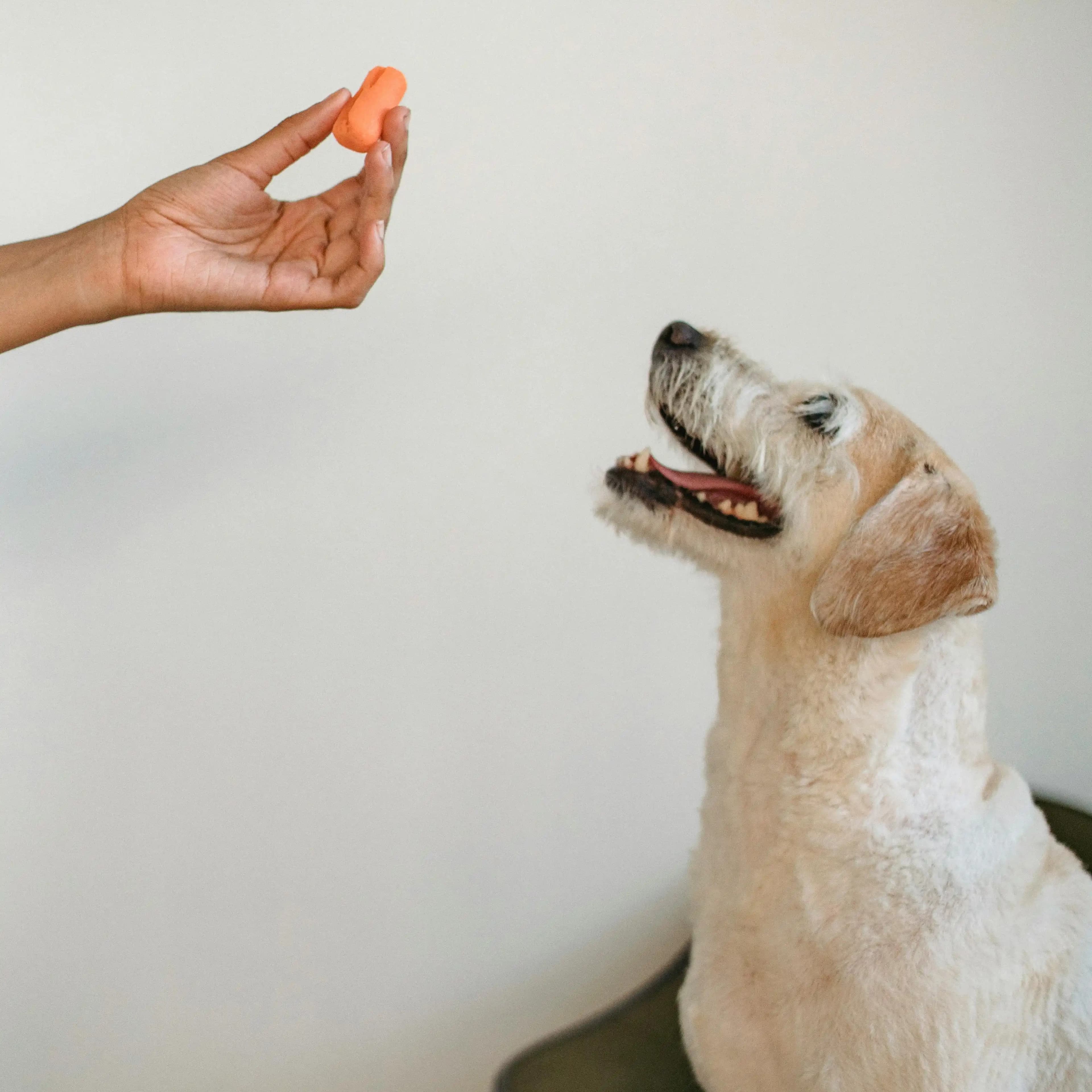 لوگوی فروشگاه داروخانه دامپزشکی مهر