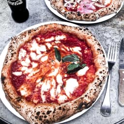 فست فود کاتو