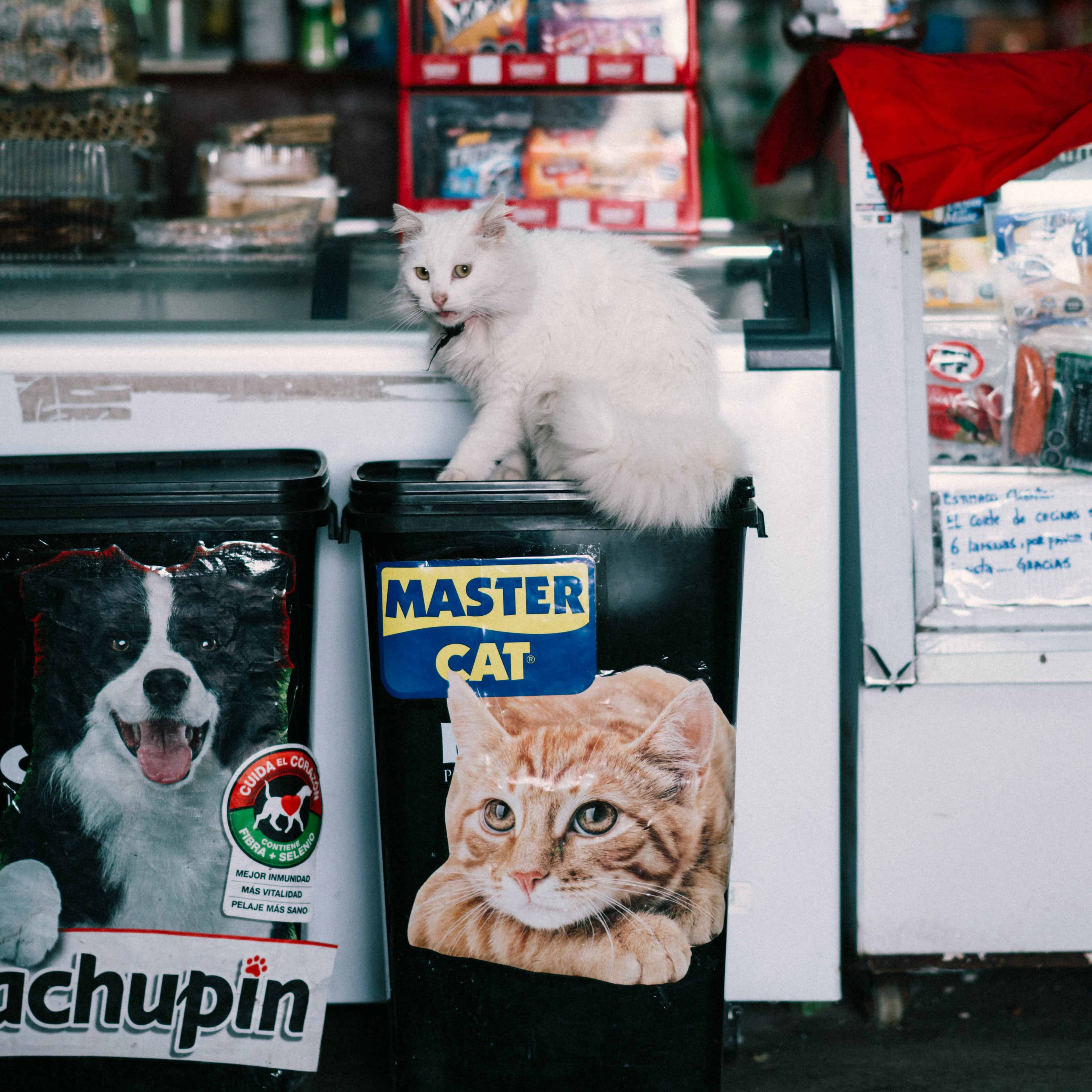 لوگوی فروشگاه درمانگاه دامپزشکی پناه