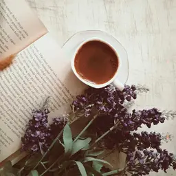 قهوه این سه