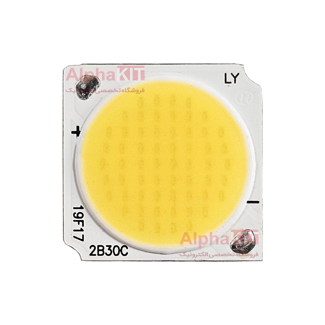 ال ای دی COB ریلی 30 وات 300 میلی آمپر نچرال 1919 برند LY