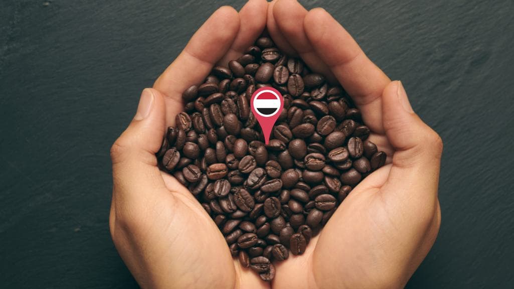 قهوه یمن صنعا فول اسپشیالیتی