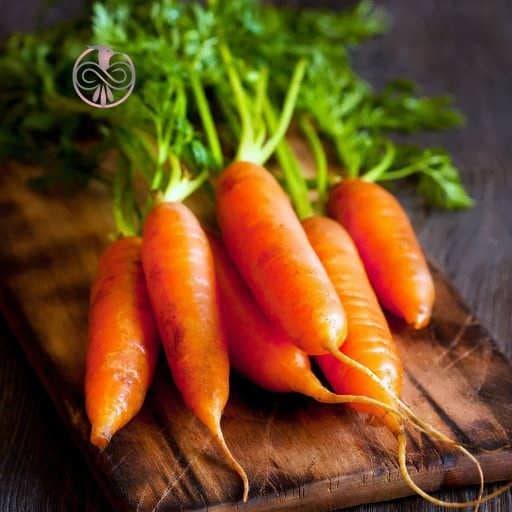 بذر هویج پودر قرمز