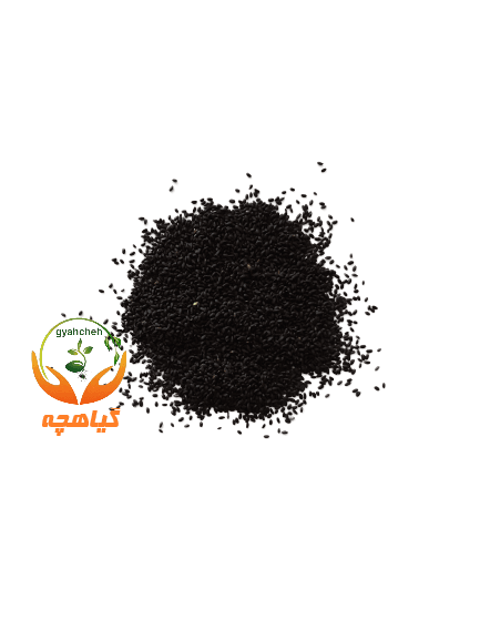 بذر ریحان سبز 50 گرمی | زر بذر ایرانیان