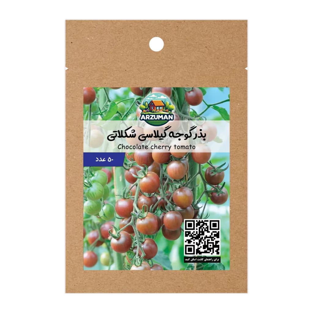 بذر گوجه گیلاسی شکلاتی
