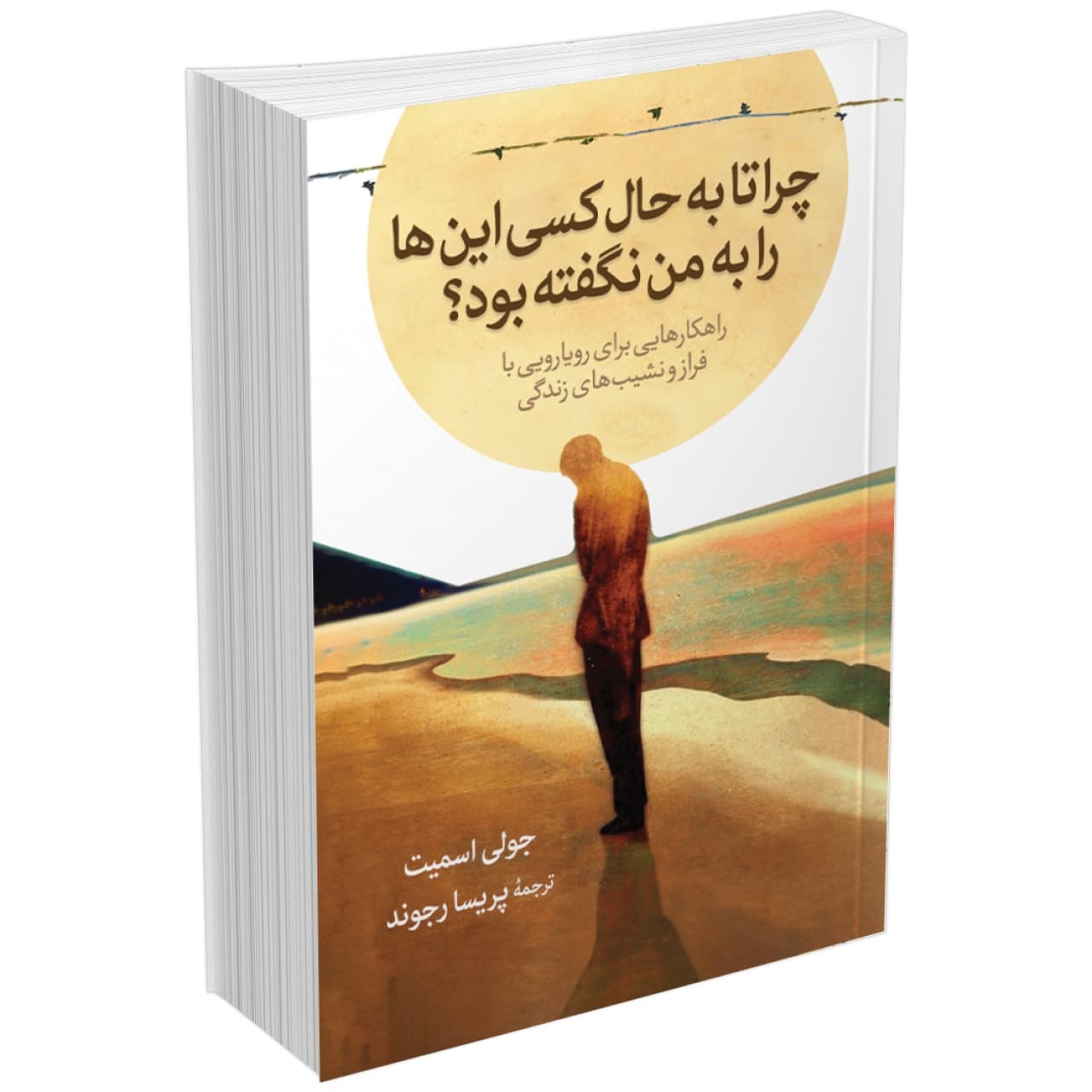 کتاب چرا تا به حال کسی این ها را به من نگفته بود اثر جولی اسمیت