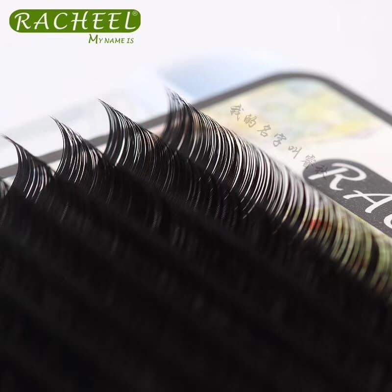 پالت مژه راشلD0.15