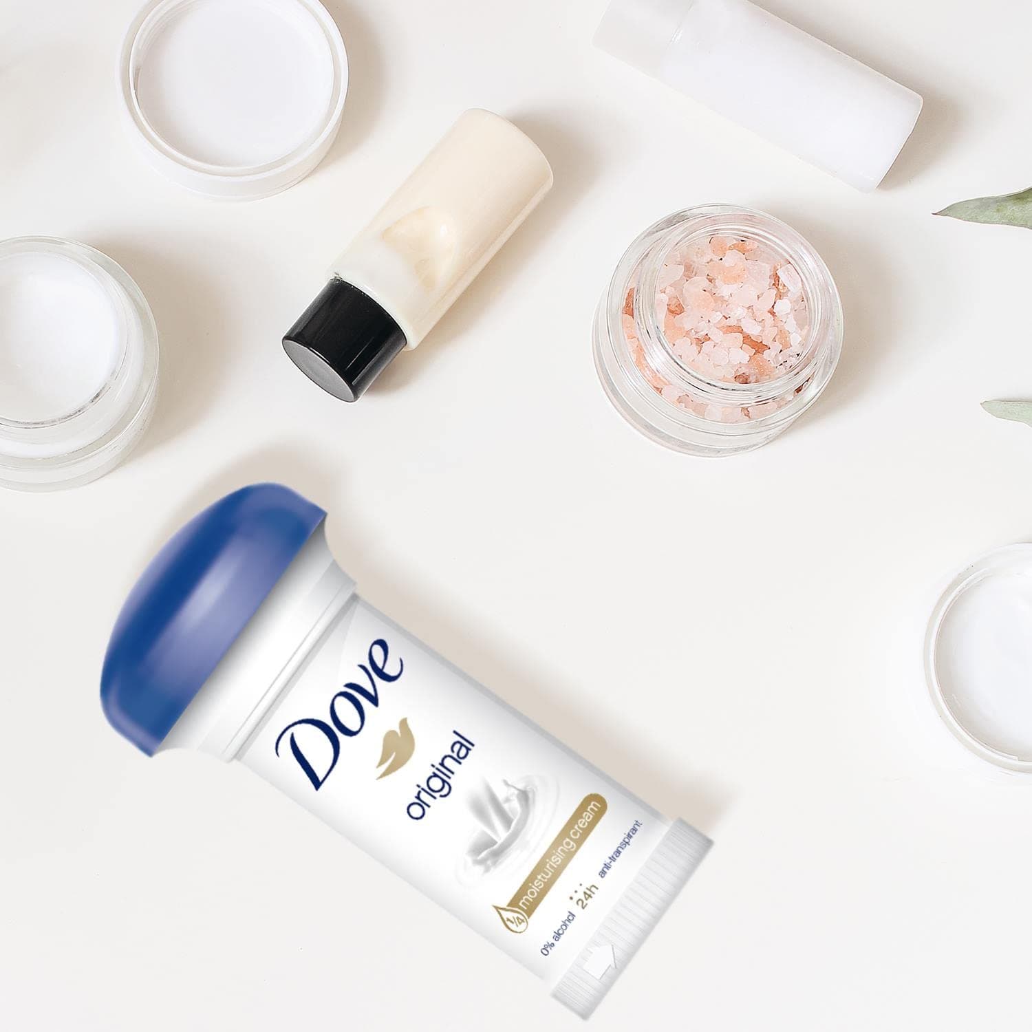 مام قارچی داو