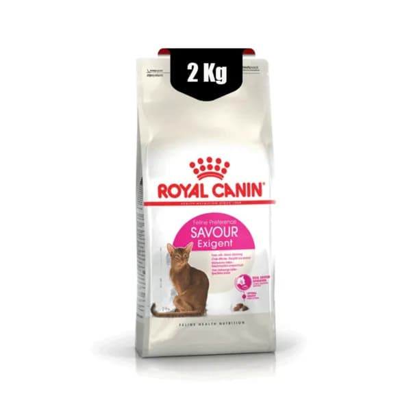 غذای خشک گربه سیور اگزیجنت رویال کنین وزن 2 کیلوگرم