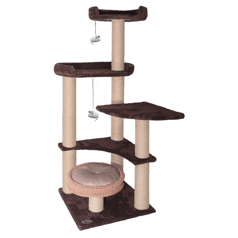 درخت گربه نیناپت مدل J به همراه هدیه