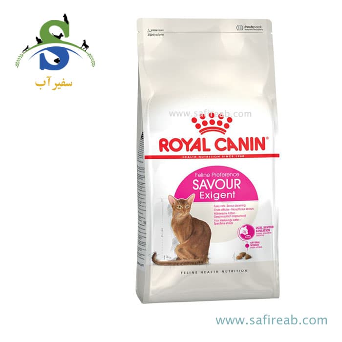 غذای خشک گربه سیور اگزیجنت رویال کنین وزن 2 کیلوگرم