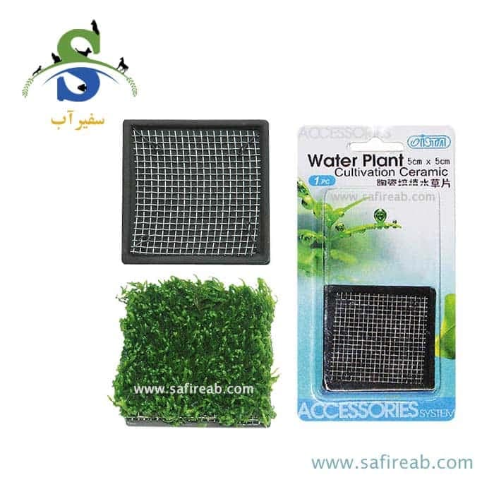 صفحه سرامیکی کشت گیاه مربعی (۵*۵ سانتی متر) ایستا