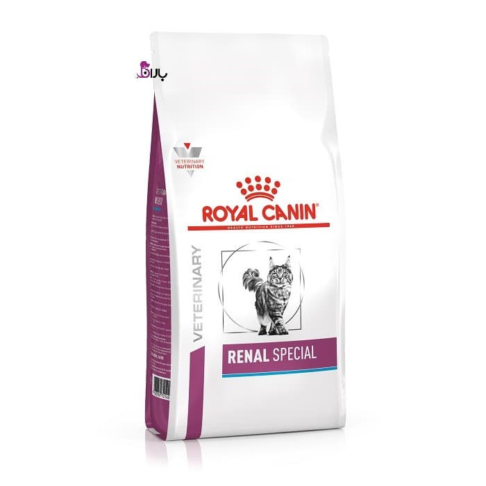 غذای خشک گربه رنال اسپشیال رویال کنین (Royal Canin Cat Renal Special) وزن 2 کیلوگرم